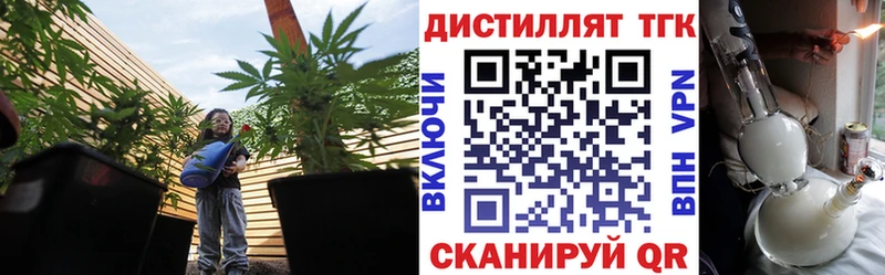 ТГК THC oil  кракен ссылки  Владивосток 