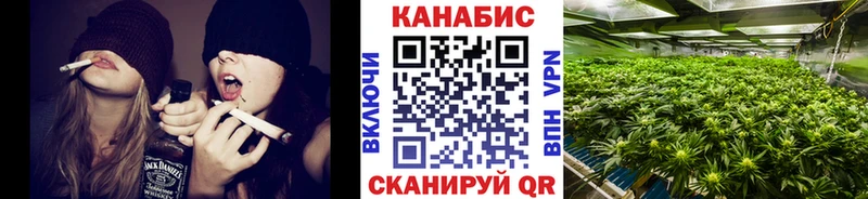 Бошки марихуана план  Владивосток 